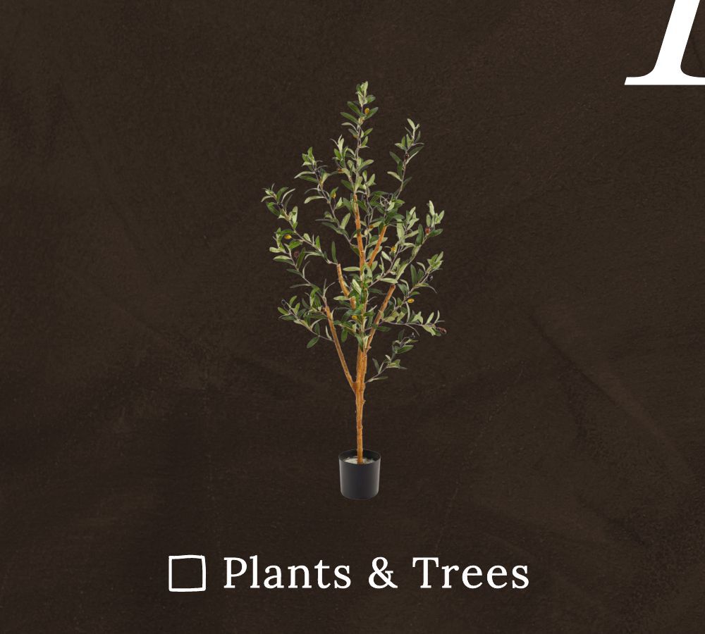 Rustic Farmhouse Decor - Plants & Trees