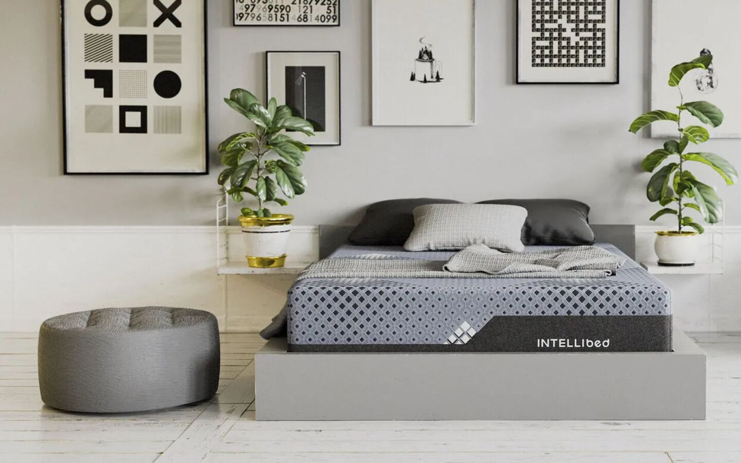 Bedroom with Intellibed mattress on a grey bedframe and two plants