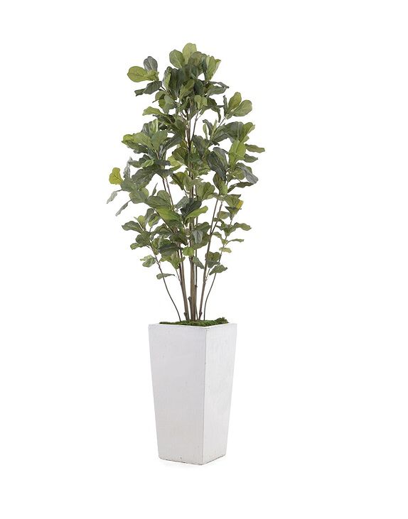 Vases & Planters 