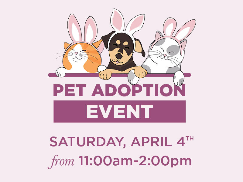 Pet Adoption Event Saturday, April 4th from 11:00am to 2:00pm