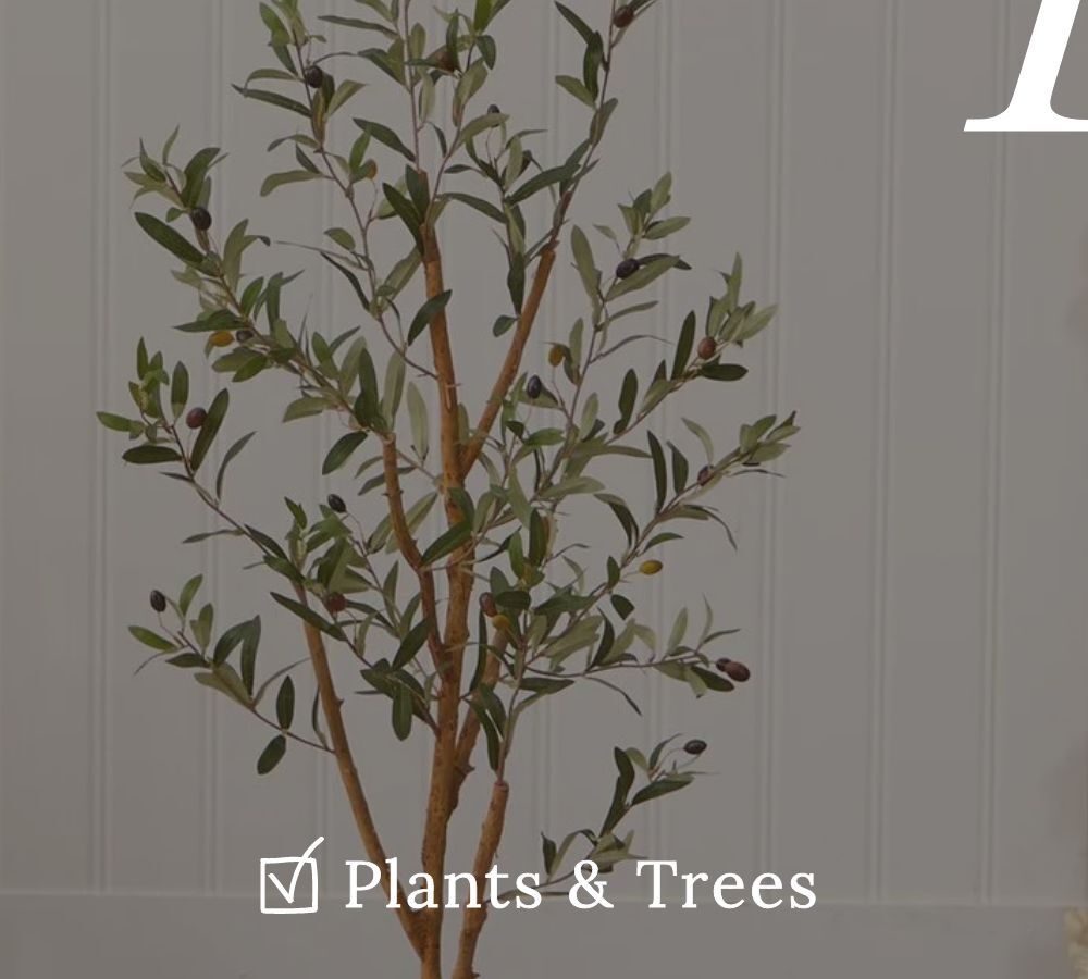 Rustic Farmhouse Decor - Plants & Trees