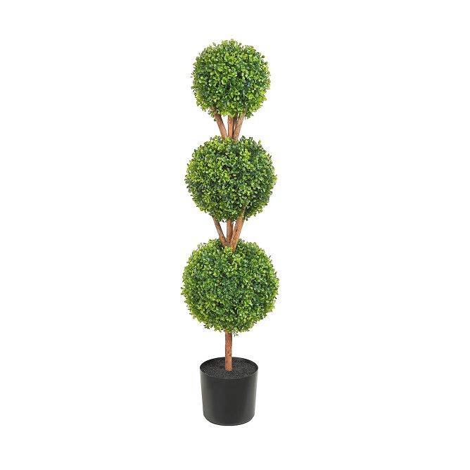 Plants