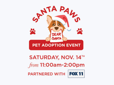Santa Paws Pet Adoption Event Saturday, Nov 14th from 11:00am to 2:00pm Partnered with Fox11