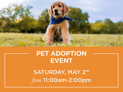 Pet Adoption Event Saturday May 2nd from 11am to 2pm