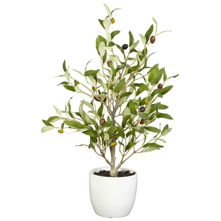 HomPlanti 18" Olive Silk Tree w/Vase (Set of 2)