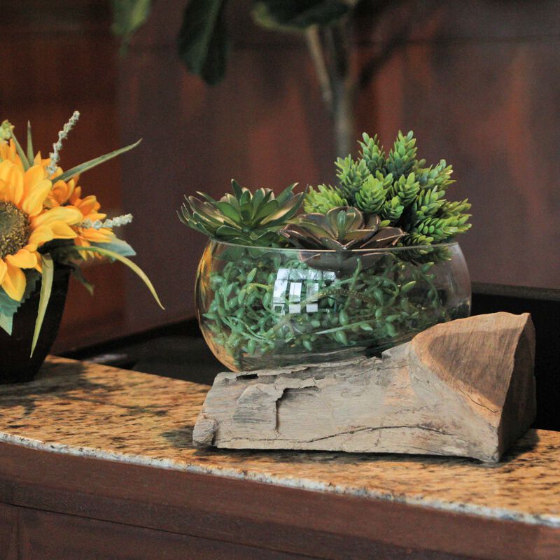 Molten Glass on Teak Driftwood Sculptural Bowl, Vase, Terrarium image number 4