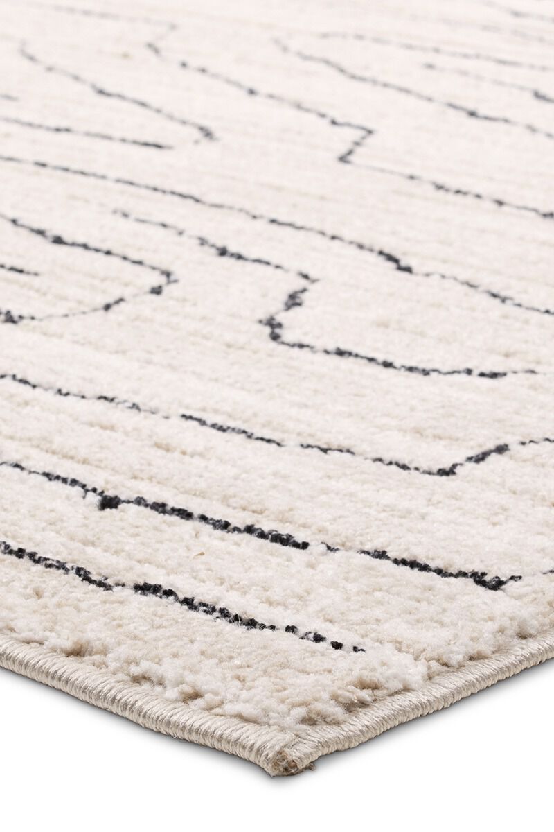 Eva Newlyn Tan 8'6" x 11'6" Rug image number 2