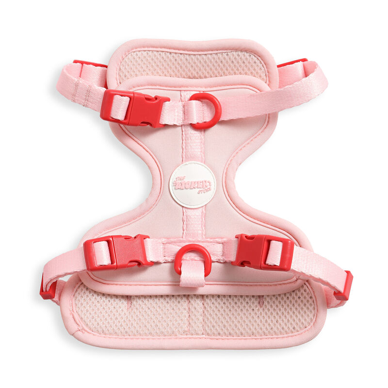 Arlo Adjustable Soft Padded No Pull Pet Harness with 3 Buckles and 3 Leash Clips