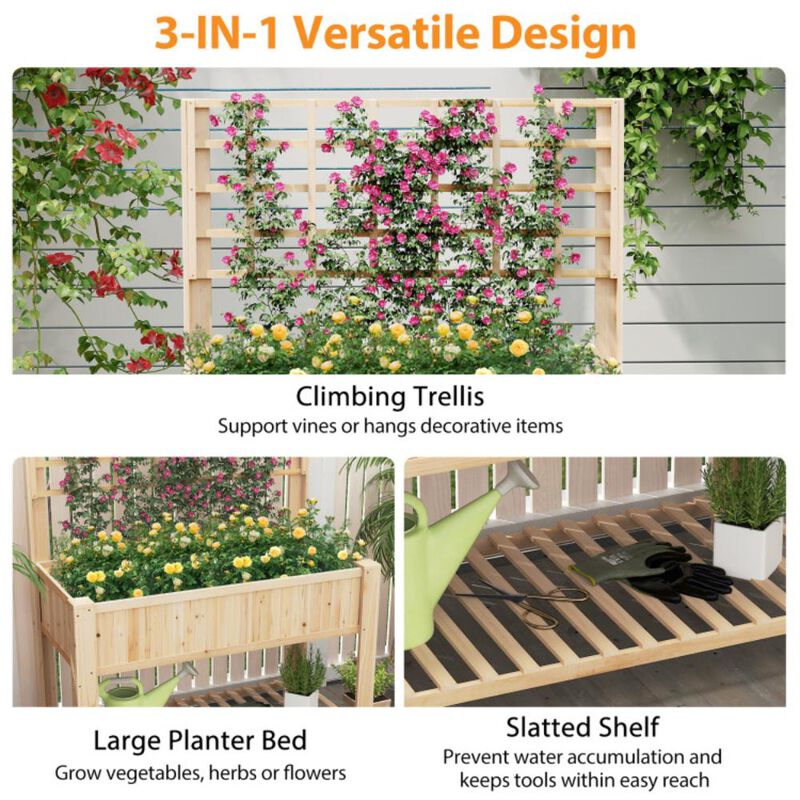 Hivvago Raised Garden Bed with Trellis Wooden Elevated Planter Box with Legs