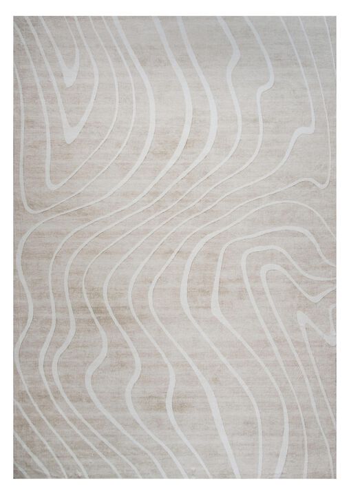 HomeRoots Abstract Distressed Area Rug