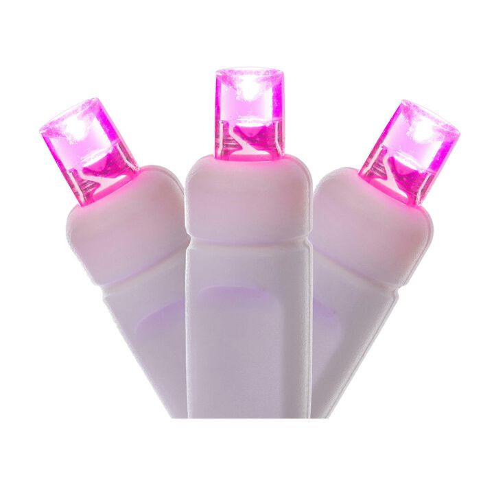 Vickerman t LED Pink/WW WA EC Set x34'L -