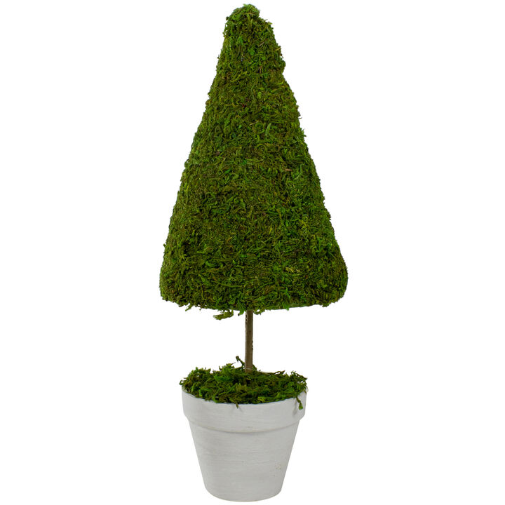21" Green and White Reindeer Moss Potted Artificial Spring Floral Topiary Tree