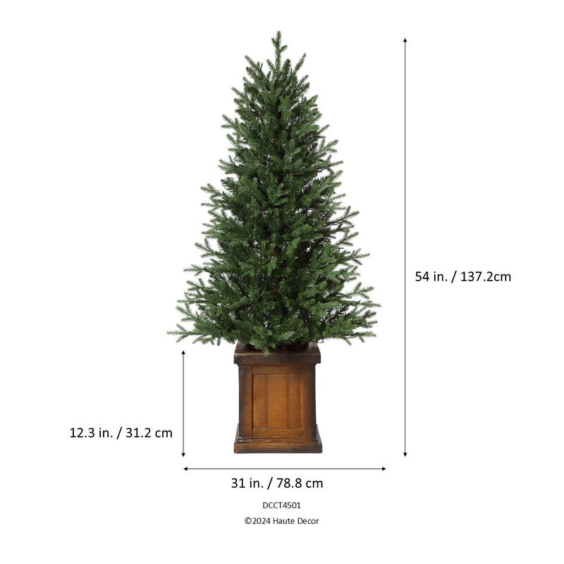 4.5 Foot New Haven Fraser Fir Potted Tree image number 5