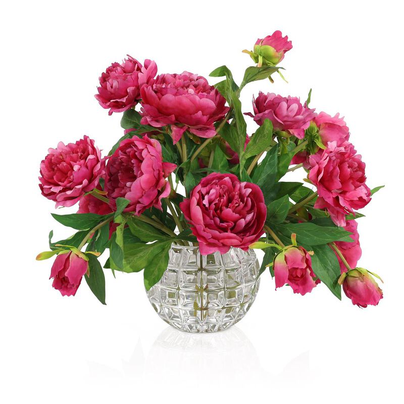 Garden Peonies image number 0