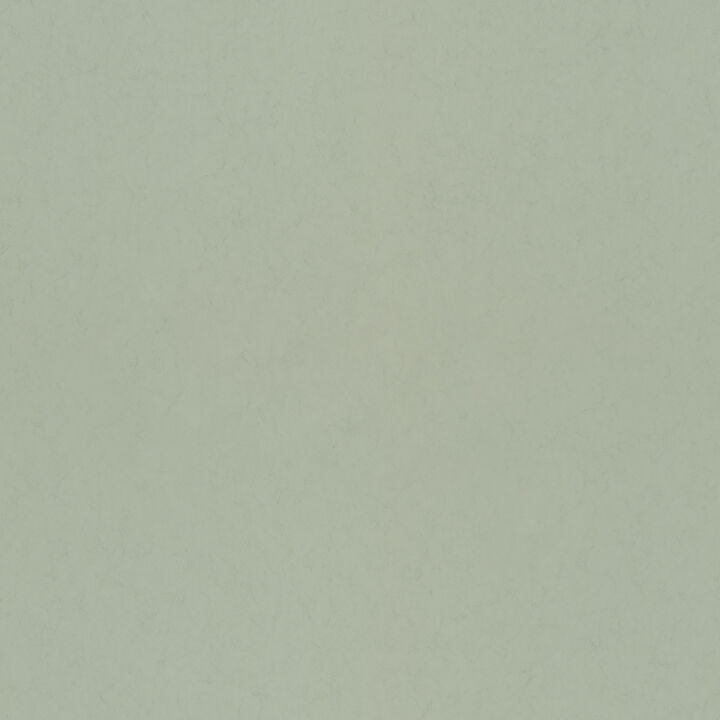 Parget V&Atilde;&yen;r Light Green Textured Wallpaper