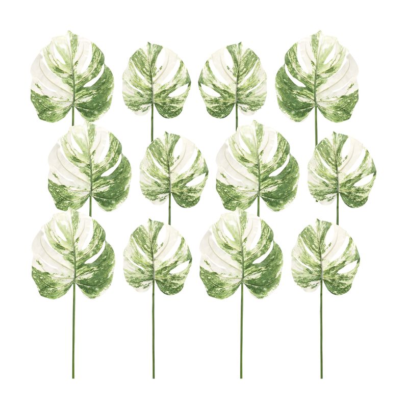 Light Variegated Philo Leaf Stem for Elegant Home Décor and Floral Arrangements (Set of 12)