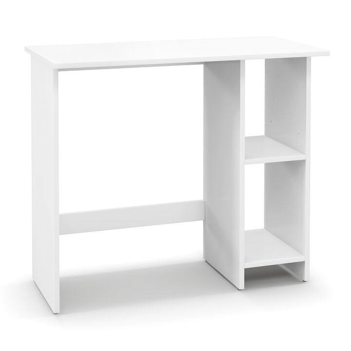 Small Computer Desk with Storage and Adjustable Shelf