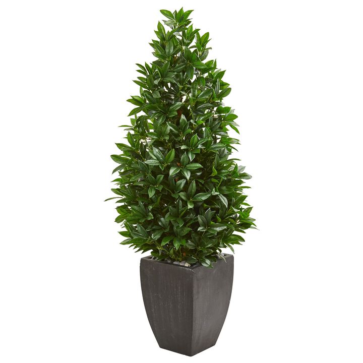 HomPlanti 56 Inches Bay Leaf Cone Topiary Artificial Tree UV Resistant in Black Planter (Indoor/Outdoor)