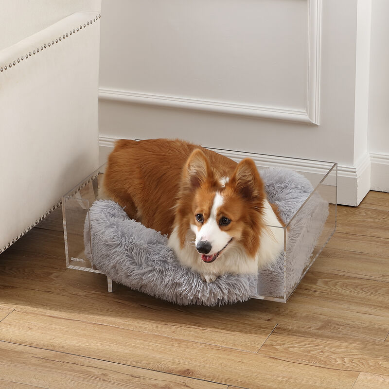 Carole Small/Medium Modern Lucite Calming Fluffy Pet Bed with Washable Cushion