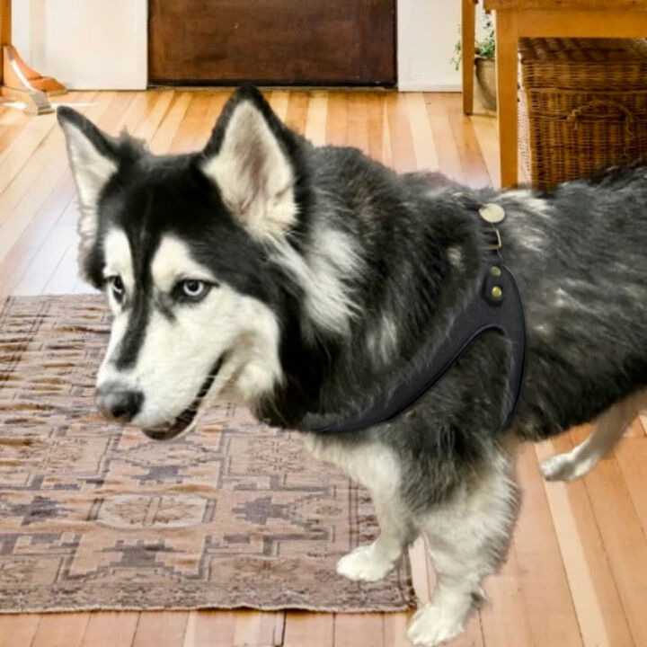 POISEPUP Real Leather Comfortable Step-in Harness for Dogs - Black