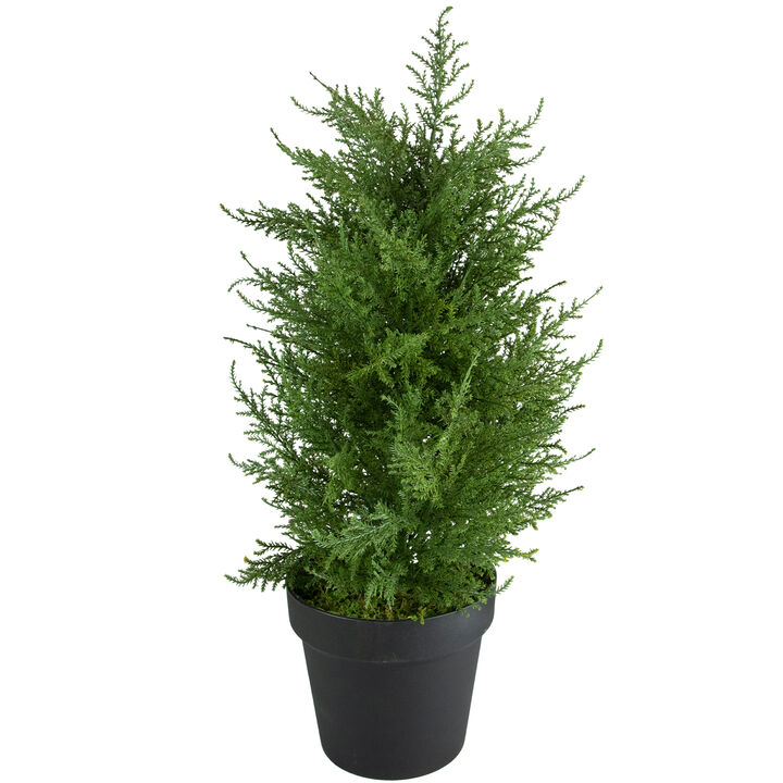 2' Artificial Cedar Pine Petite Arborvitae Tree in Round Pot  Unlit