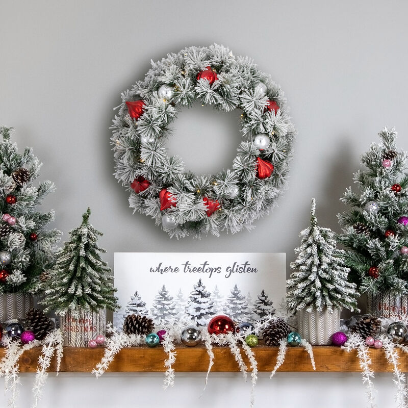 Pre-Lit Snowy Bristle Pine Christmas Wreath  24-Inch  Warm White LED Lights image number 1