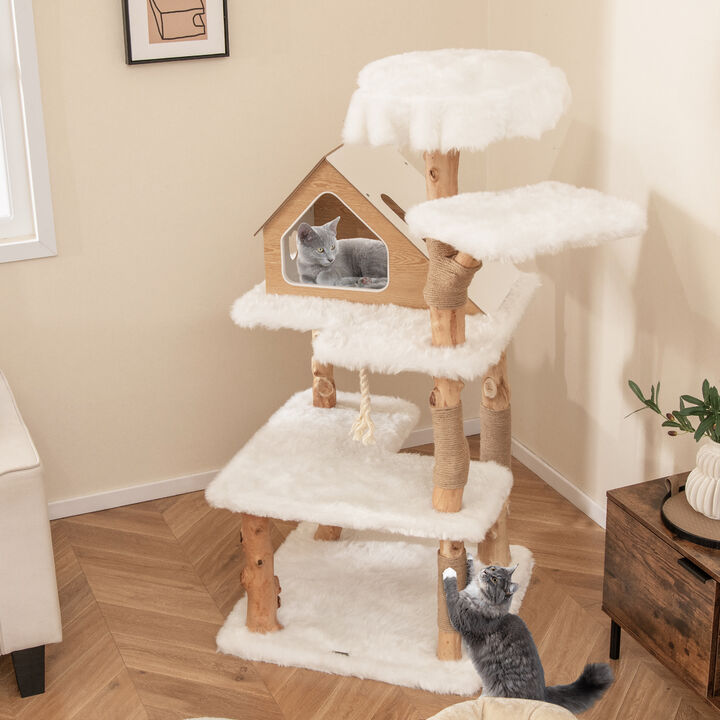 60-Inch Tall Solid Wood Cat Tree, Modern Wooden Cat Tower with 2 Perches for Cats
