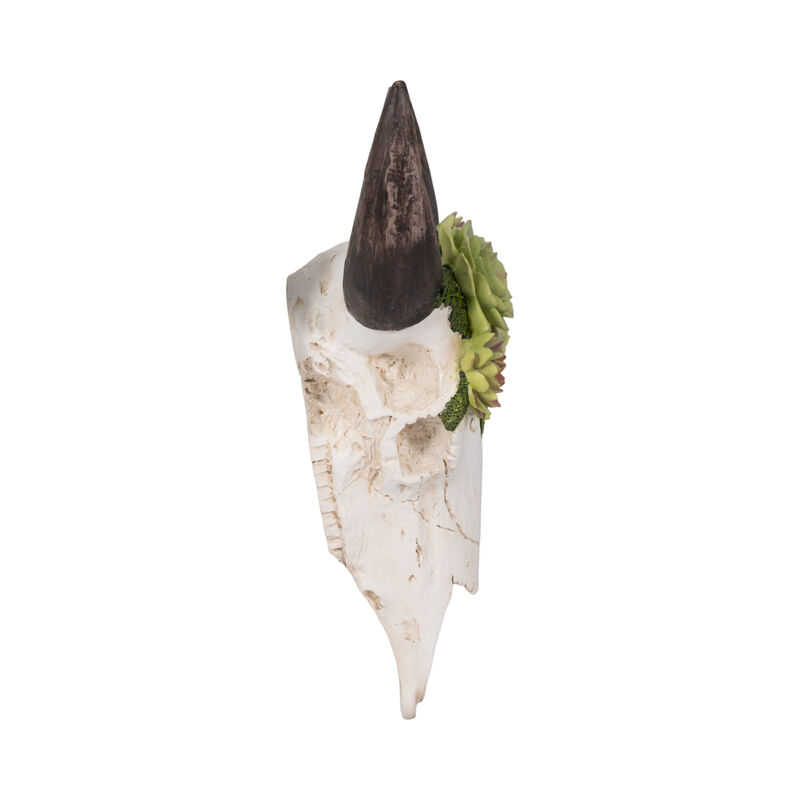 18" Bull Skull With Succulents image number 2