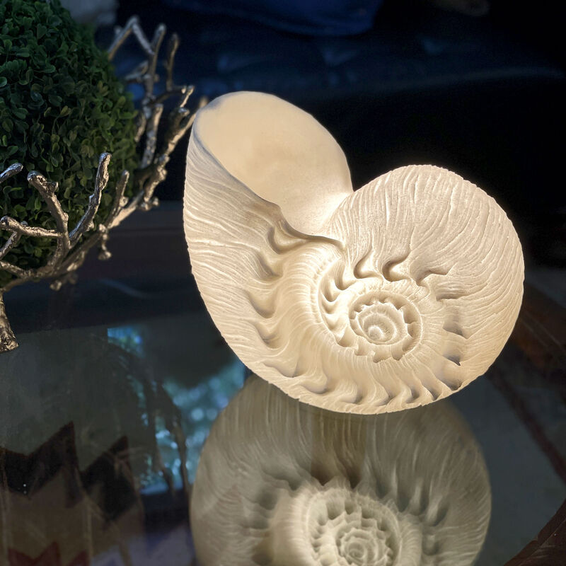 White Sandstone Finish Frilled Nautilus Shell Accent Lamp 10 Inches High image number 1