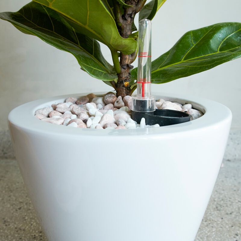 2-Pack Smart Self-watering Planter Round Cone Pot for Indoor and Outdoor image number 2