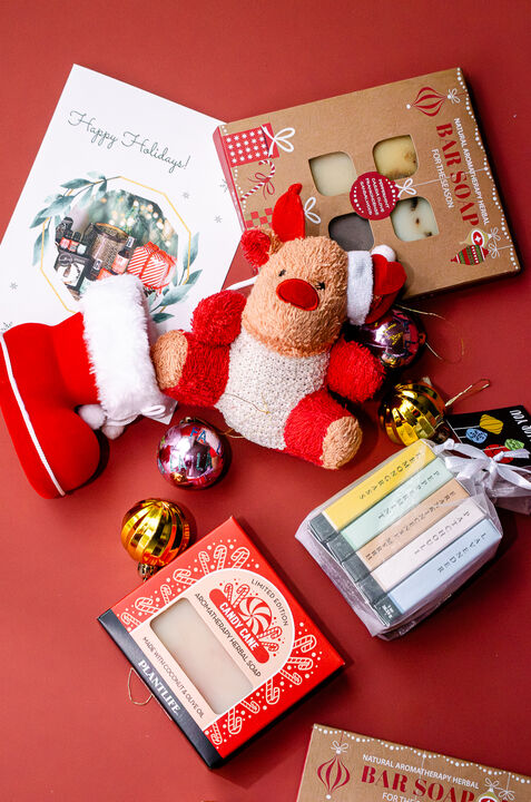 Plantlife Holiday Soap Travel Sampler Gift Set