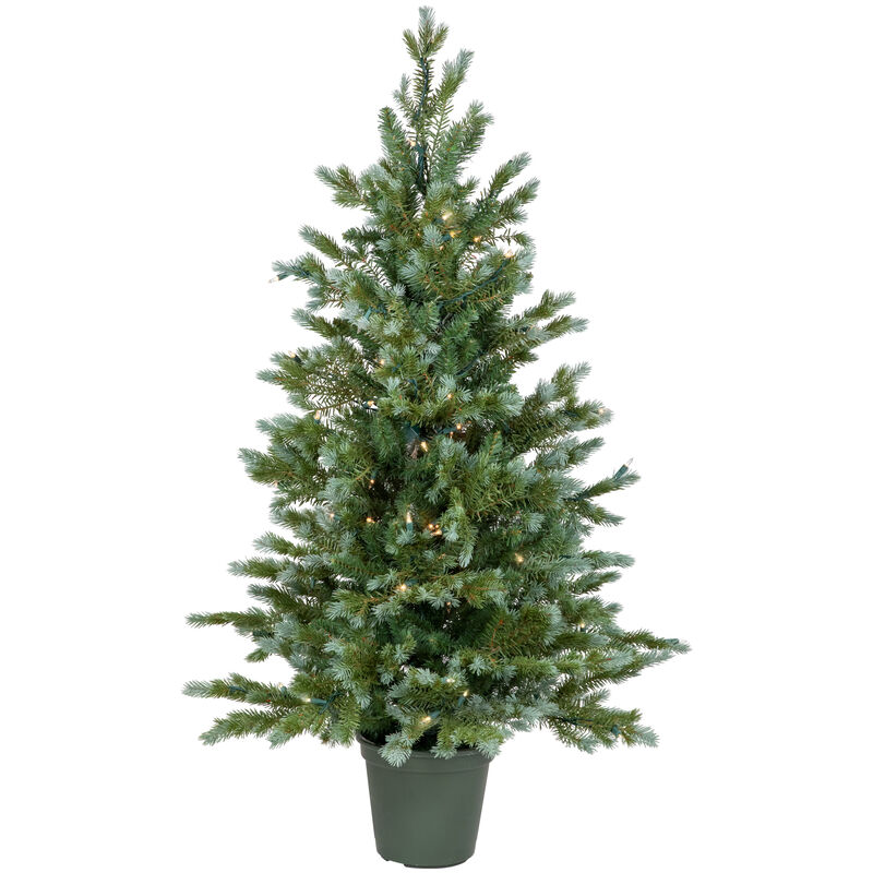 4' Potted Blue Spruce Artificial Christmas Tree  Clear Lights image number 0