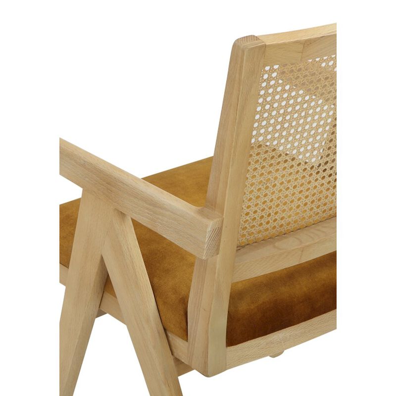 Pangea Home Lev Armchairs Velvet Gold