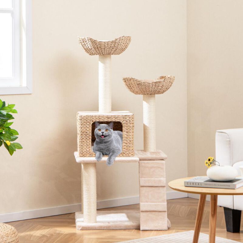 Hivvago 48 Inch Cattail Cat Tower with Sisal Scratching Posts Perch and Condo