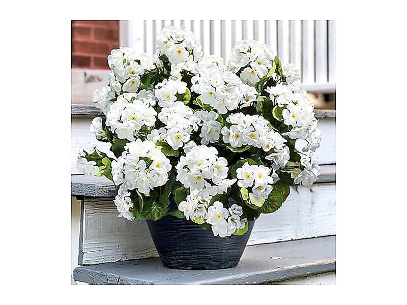 Artificial Geranium Fake Flowers Outdoors Decor 6 Bundles Silk Geraniums White image number 1