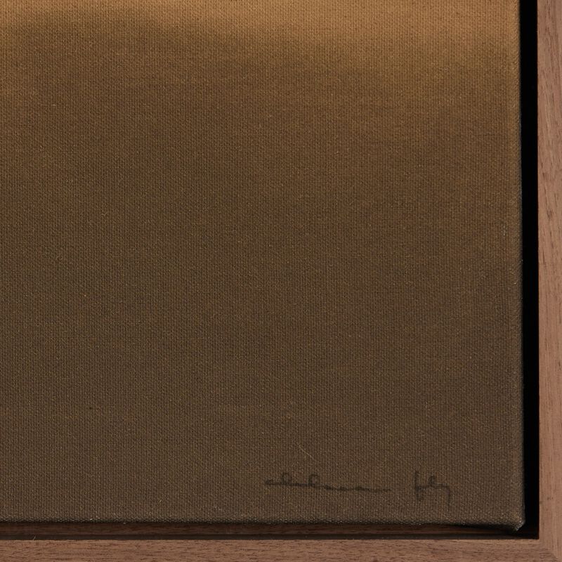 The Light By Chelsea Fly