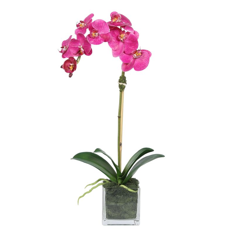 Faux Orchid Plant in Square Vase - 20" image number 0