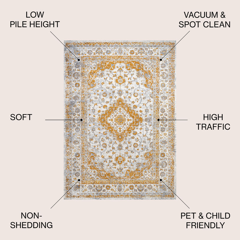 Indhira Ornate Medallion Persian Area Rug
