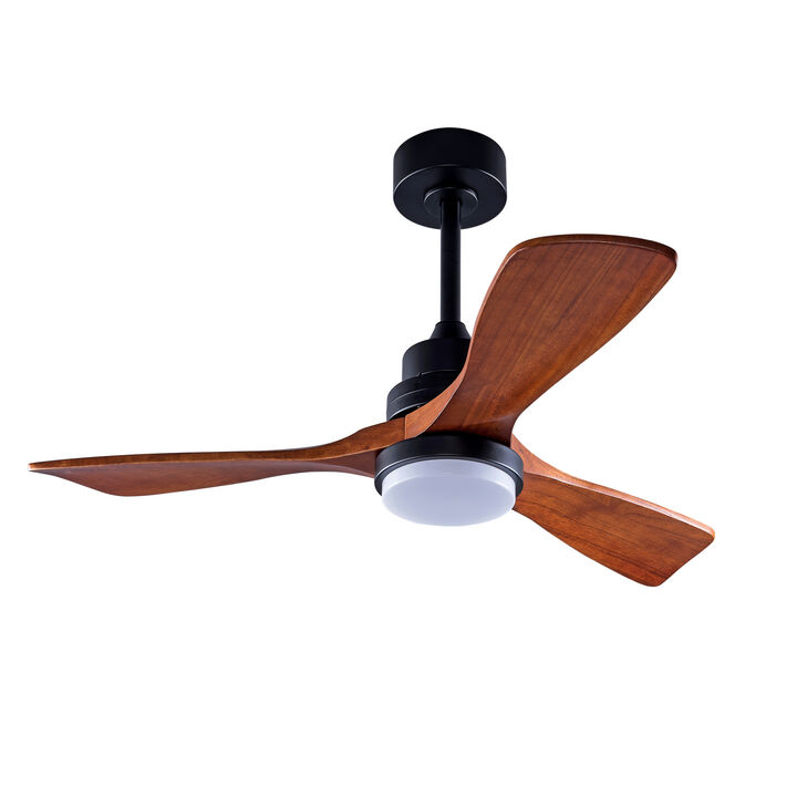 ELEMENT ACE Energy Efficient Outdoor Ceiling Fan with Integrated LED Lighting and Remote Control for Modern Patio Spaces