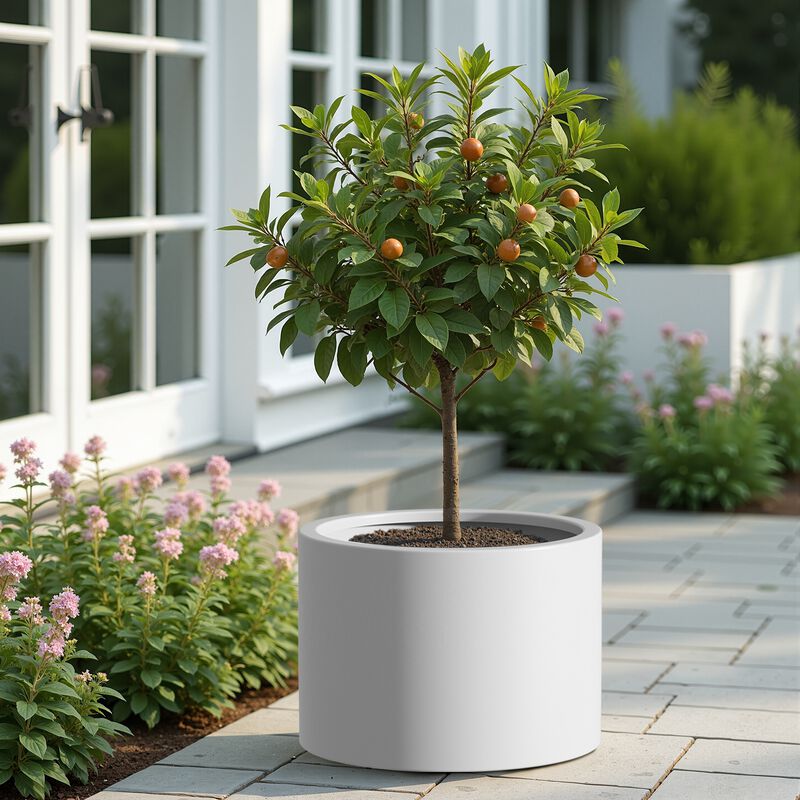 Heavy Duty Corten Steel Round Raised Garden Bed Kit, White Metal Planter Box