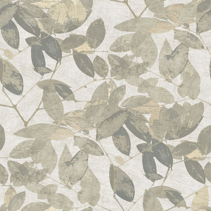 Beech Leaves Wallpaper