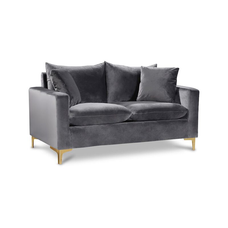 Meridian Furniture Naomi Grey Velvet Loveseat