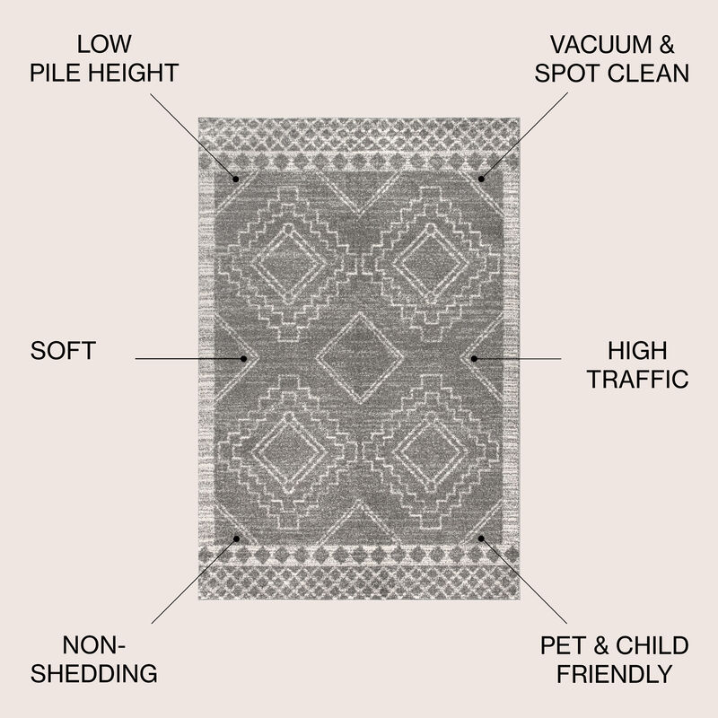 Amir Moroccan Beni Souk Area Rug