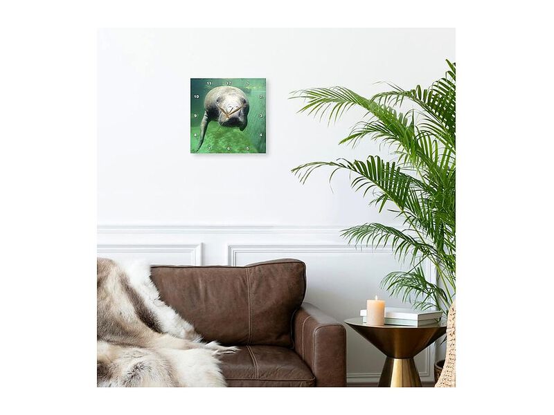 Florida Key West Manatee Greg Johnston Wall Clock 13 Inch Home Decor image number 2