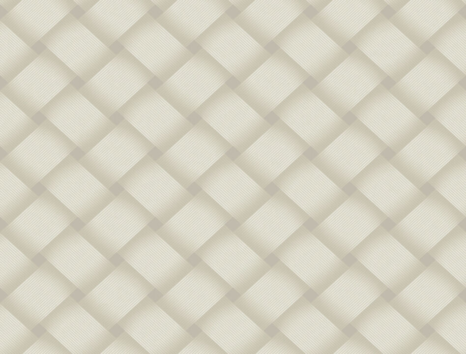 Bayside Basket Weave Neutral Wallpaper (Set of 2)