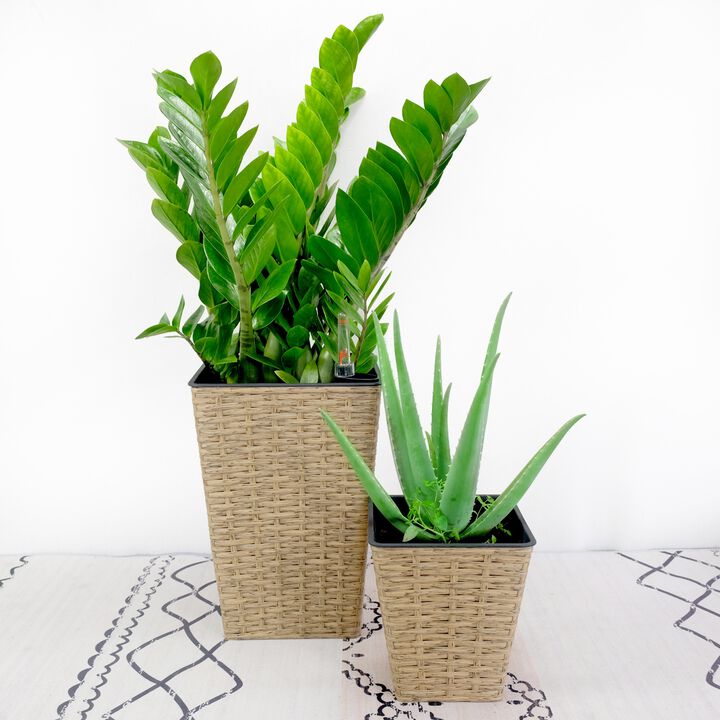 2-Pack Smart Self-watering Square Hand Woven Wicker Planter for Indoor and Outdoor