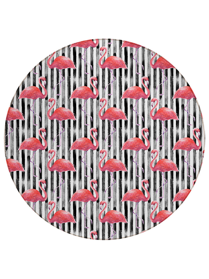 Tropics TC9 Black 8' Rug