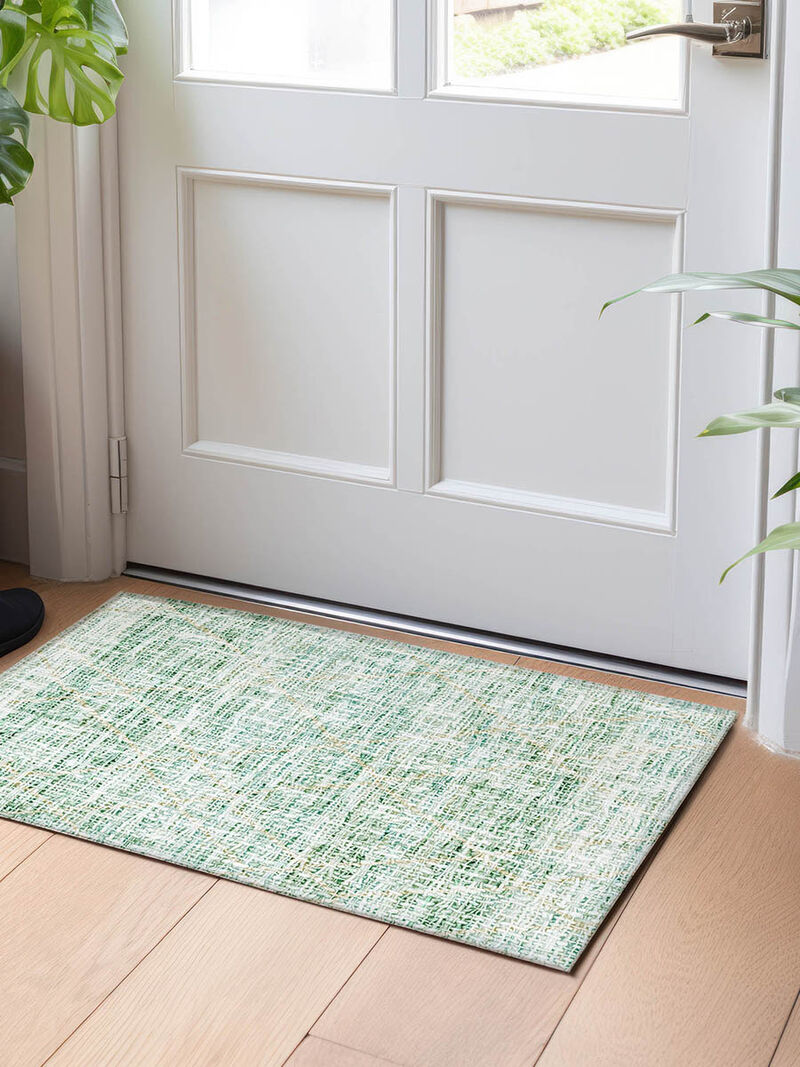 Portico PO1 Aloe 20" x 30" Rug