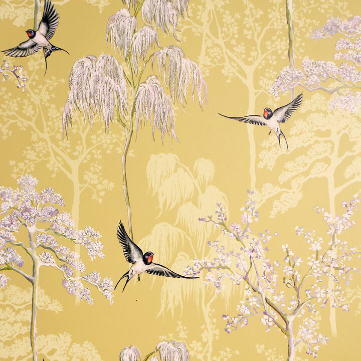 Asuka Yellow Sparrow Forest Wallpaper
