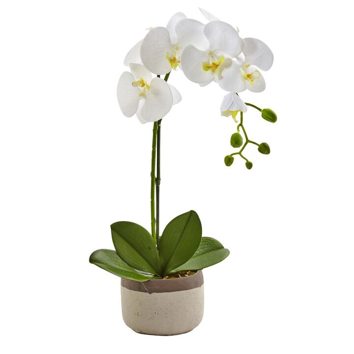 Nearly Natural 19-in Phalaenopsis Orchid in Ceramic Pot